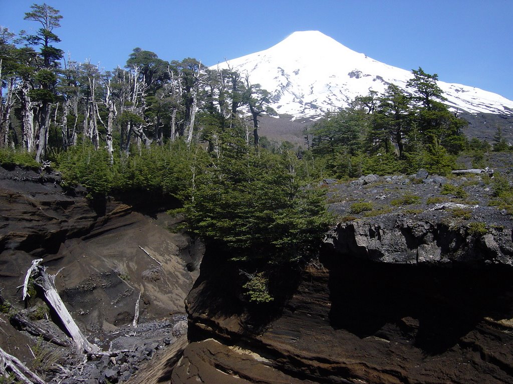 Puente sobre cuevas volcánicas Volcán Villarica, Parque Nacional Villarica, IX Región, Chile by Erwin Williams Scher…