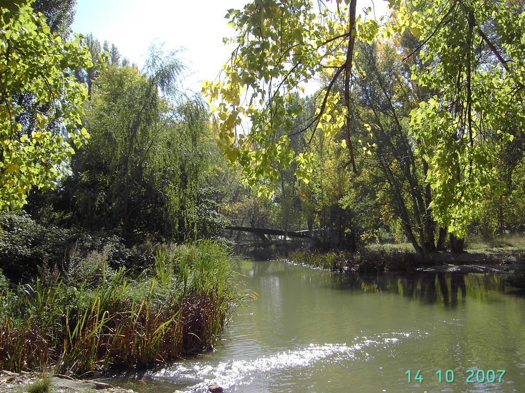 Rio Carrión, Palencia by ©-Miguel A. Rodríguez Terán