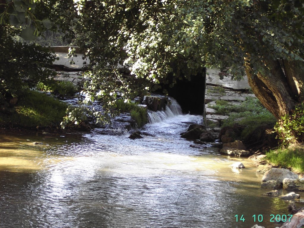 Rio Carrión , Palencia by ©-Miguel A. Rodríguez Terán