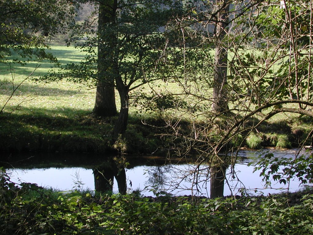 Le long de la Lesse à Ciergnon by Françoise Klauner