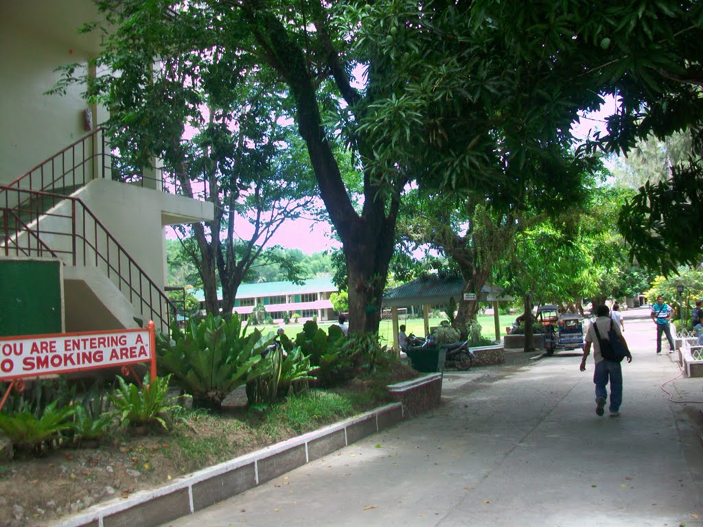 Walking Lane of MNHS by Florante