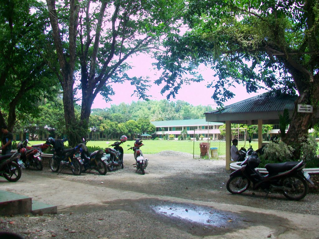 Playground of MNHS by Florante