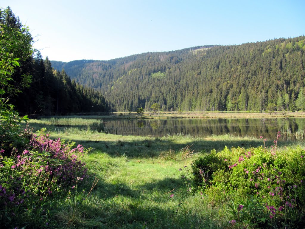 Kleiner Arbersee by Kastl