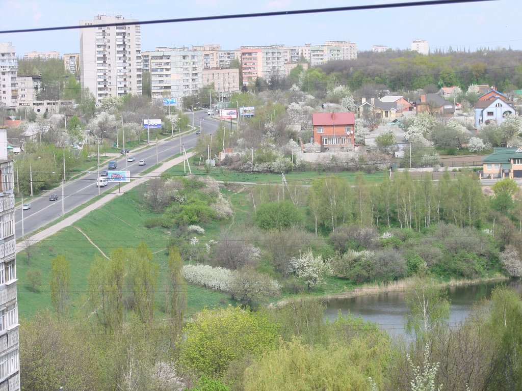 Sady-1, Poltava, Poltavs'ka oblast, Ukraine, 36000 by Pedchenko Oleksandr