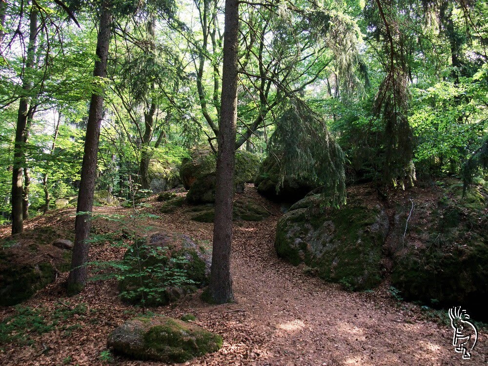 „Der Naturparkweg“ by Roman M.