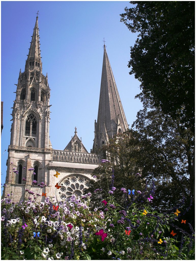 Chartres by cisko66