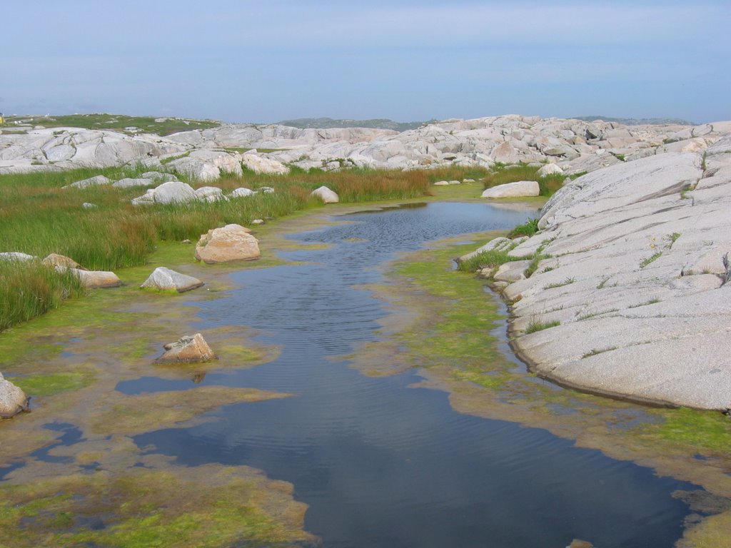 Pool at Peggys Cove, Nova Scotia 667 by Patrick Dooley