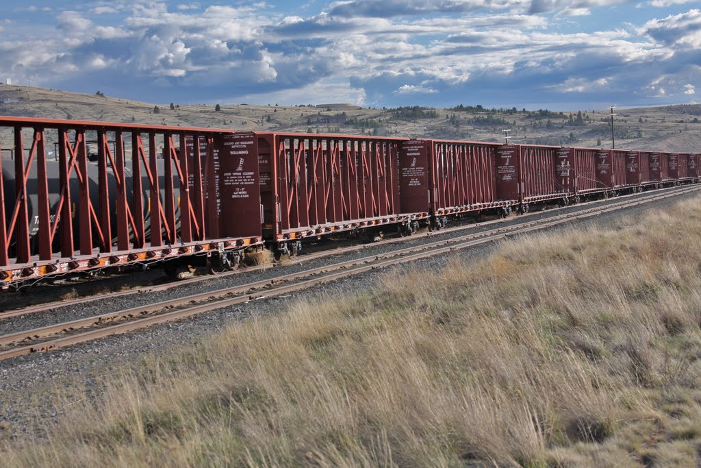 Butte Box Cars by Sonny Thornborrow