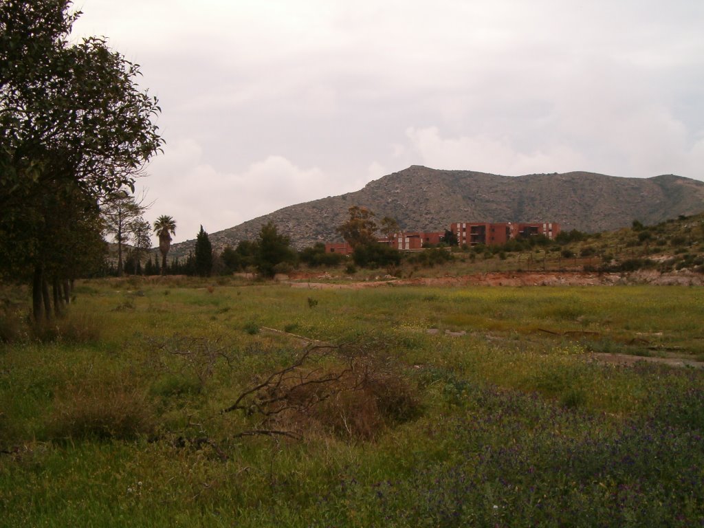 Ruinas del instituto de Escombreras: campo de deportes y gimnasio? by Drunkelheit