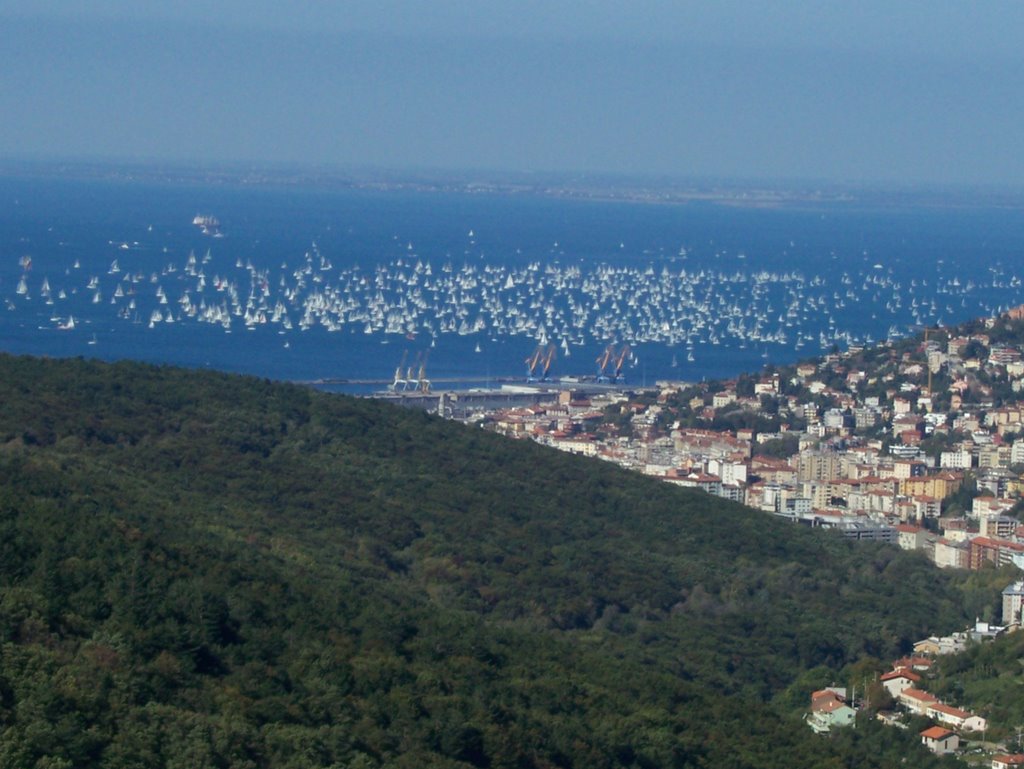 Scorcio di Trieste con la Barcolana by treccolo