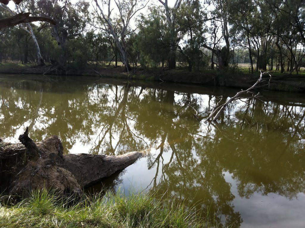 Lachlan River by Dr Muhammad J Siddiqi State Water Corp by Dr Muhammad J  Siddiqi