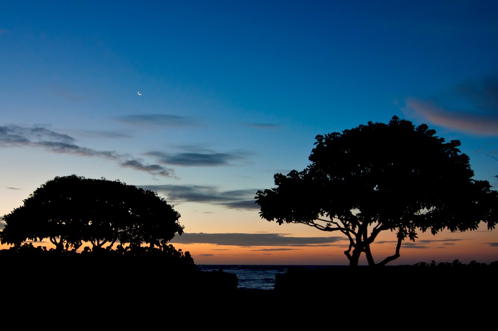 Waipouli Beach Sunrise, Kauai by Greg Sapp