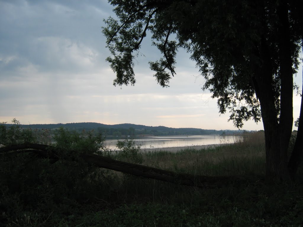 Bodensee - Markelfinger Winkel by gerdb