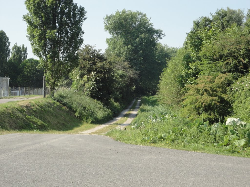 Oost Havendijk - Oost Groeneweg Steenbergen by © rdnjc