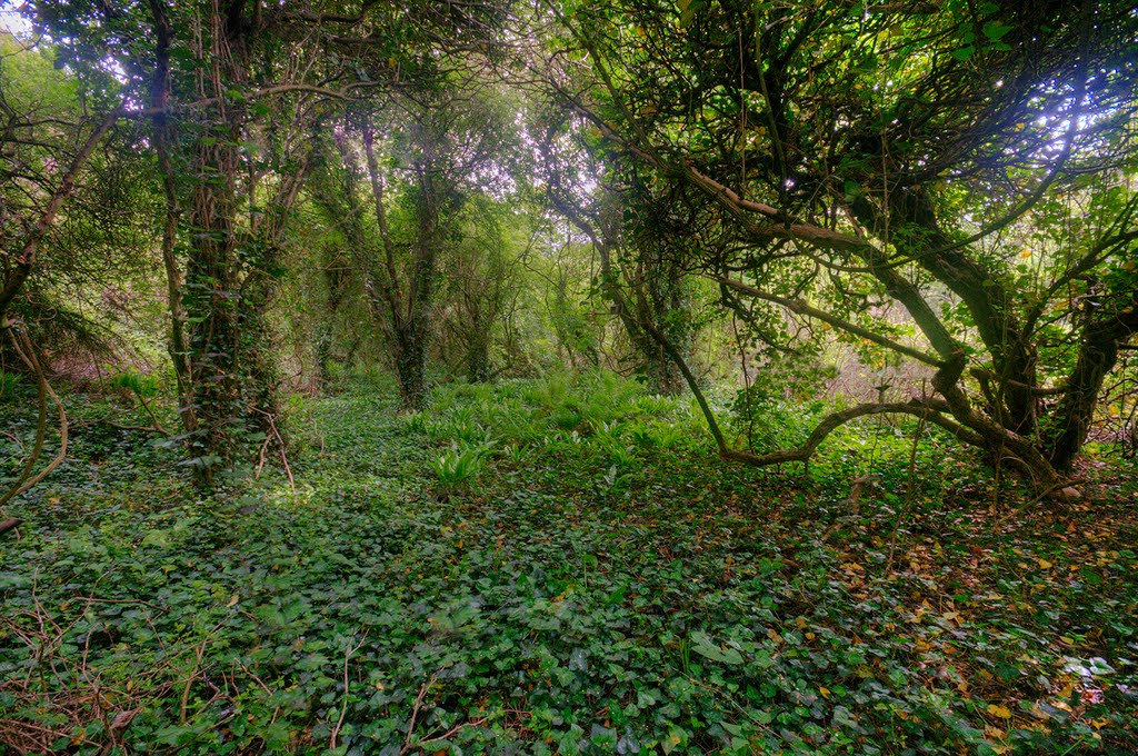 Cowbridge and Aberthaw Railway by Guybm