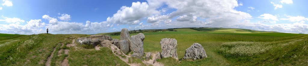 View from west kennet by fat-freddies-cat