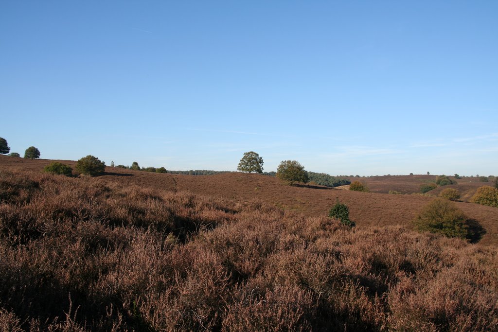 Posbank heuvels in de herfst by machielgroenevelt