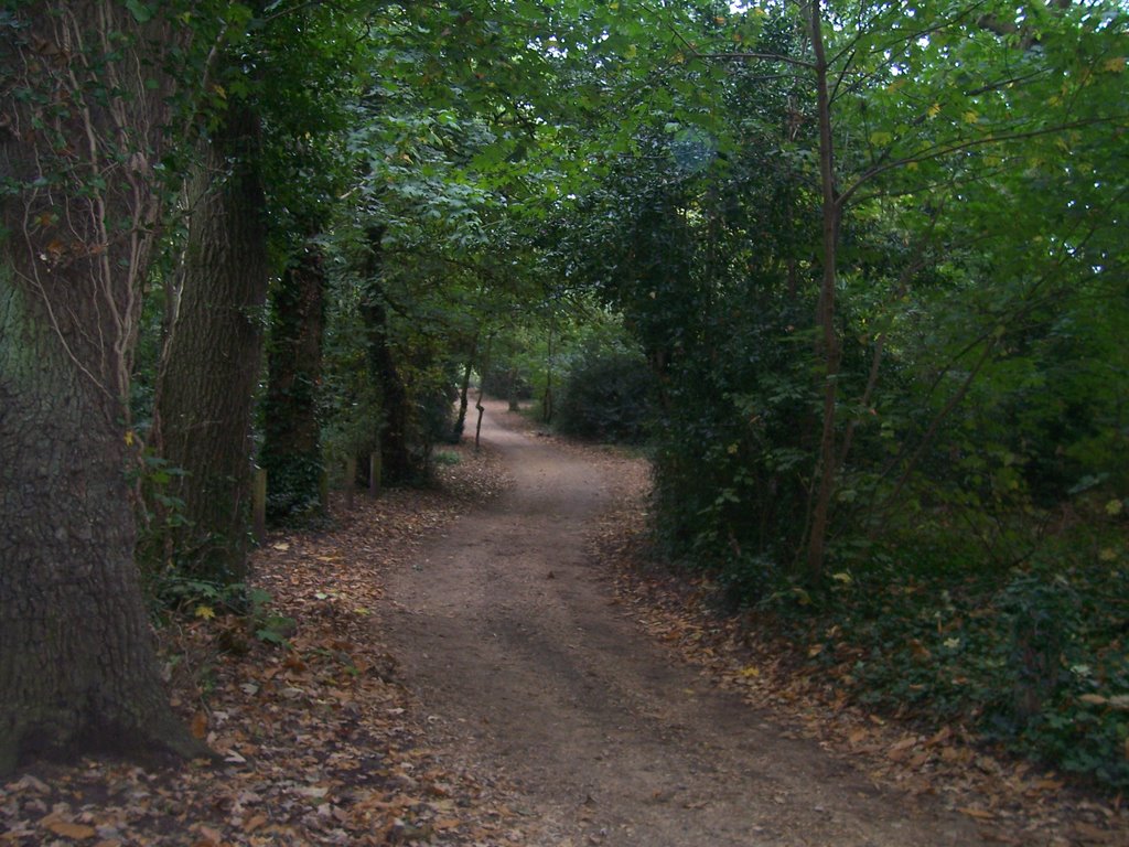 Talbot Woods by A Photographer