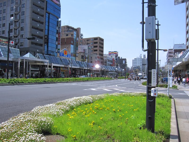 Sugamo 白山通り by beya_conger