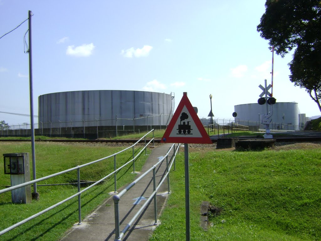 Entrada a Miraflores Locks by LUIS PALMA