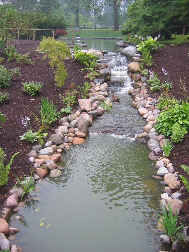 Pond at Public Gardens, Halifax, Nova Scotia 767 by Patrick Dooley