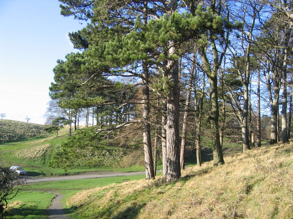 Phoenix Park Dublin Ireland by marlacho