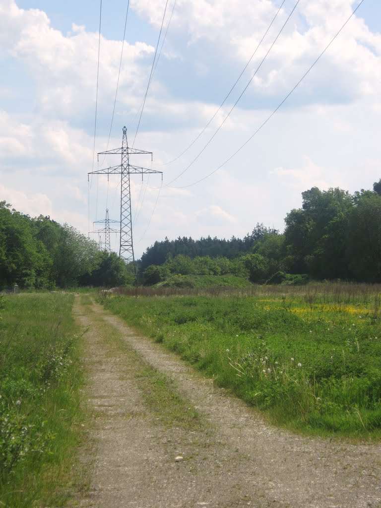 Strommasten durch den Forstenrieder Park by Christoph Rohde