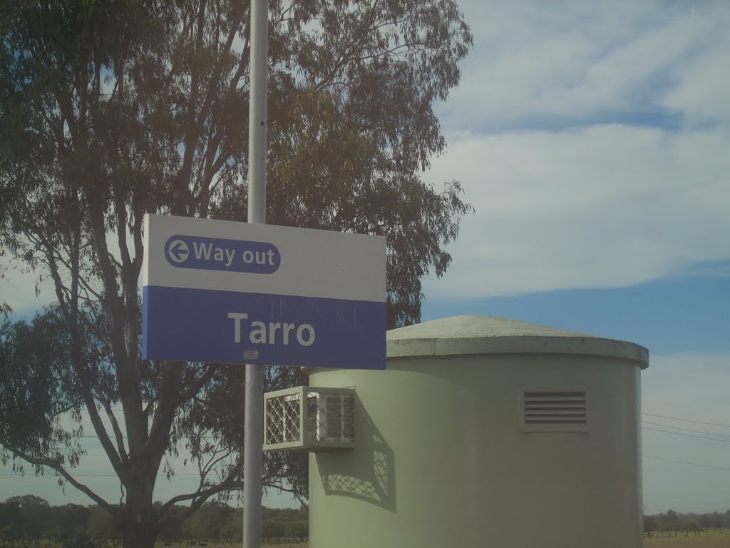 Tarro Station, NSW by photomanthe2nd