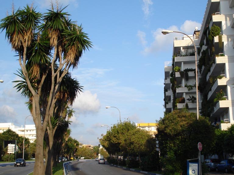 Avenida Severo Ochoa (Marbella) by Manuel J.Lago