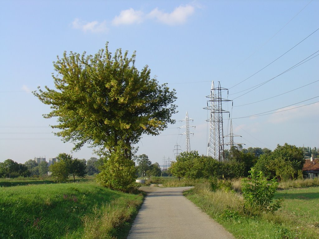 Brno-Tuřany, Czech Republic by plyha