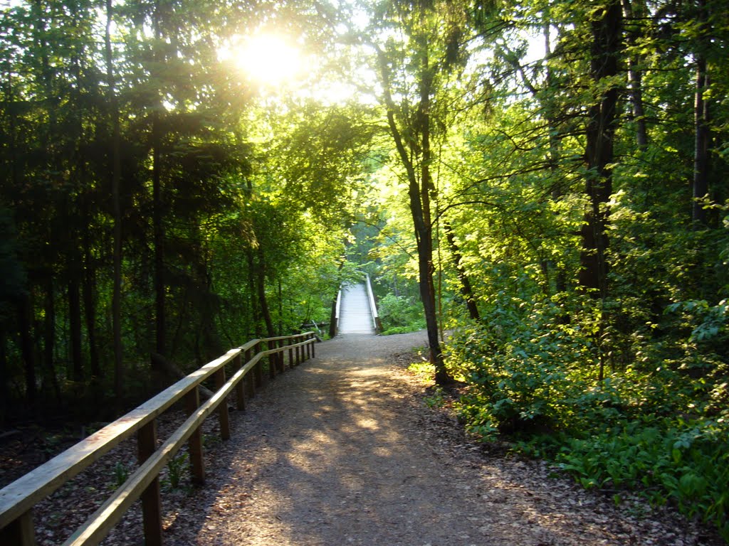 A bicycle road in Kaivoksela (Vantaa, 20110522) by RainoL