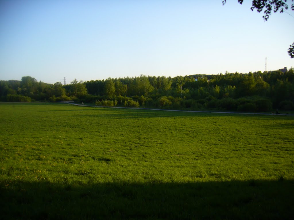 Meadow E of Brook Mätäoja in Kaivoksela, 20110522 by RainoL