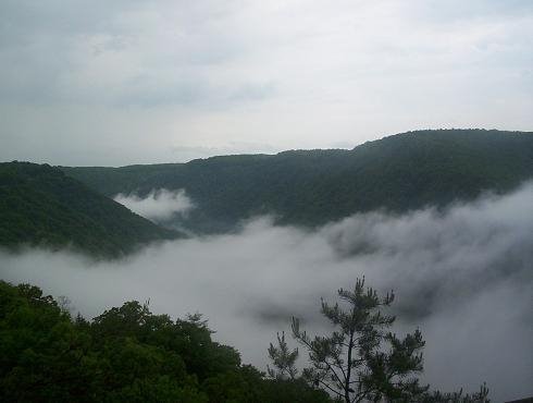 New River Gorge by ColinJ