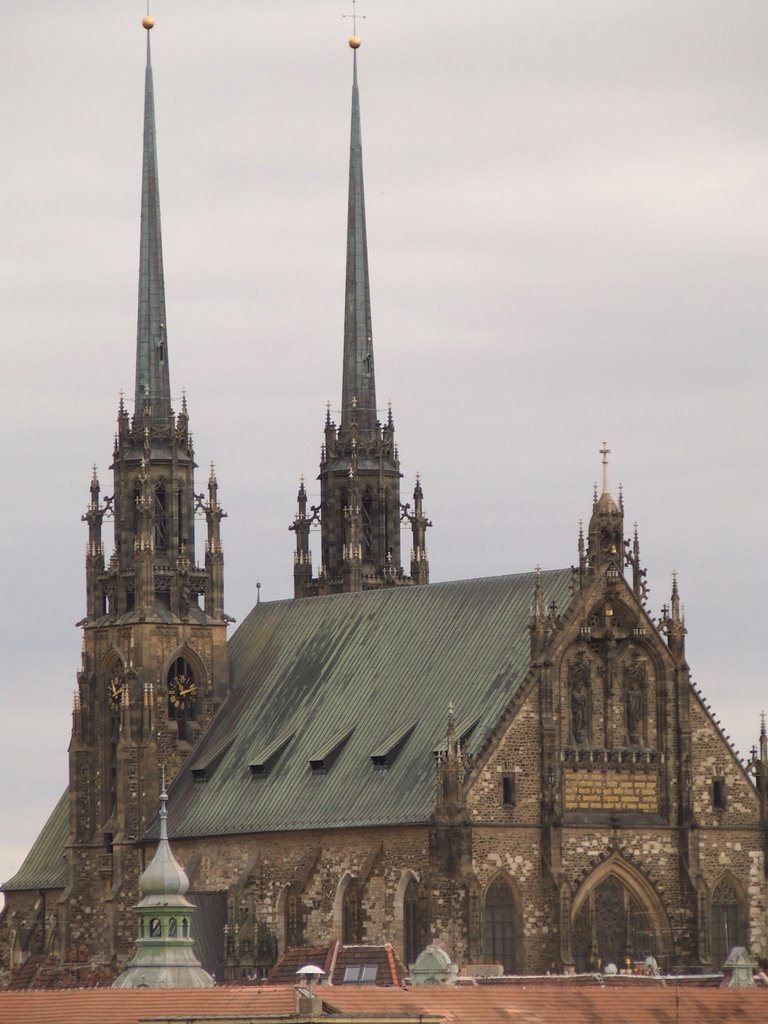 Brno - cathedral of st. Peter by lubossanoba