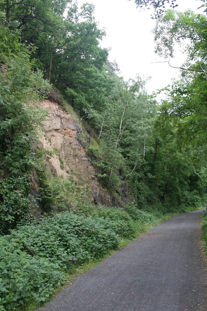 Waldweg an der Uferpromenade by Metsämies