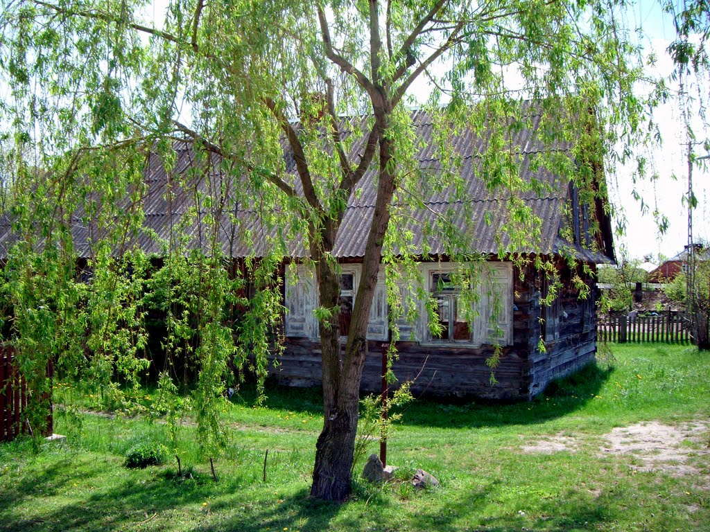 Stary dom w Dołhobrodach by Paweł Páll Ævar