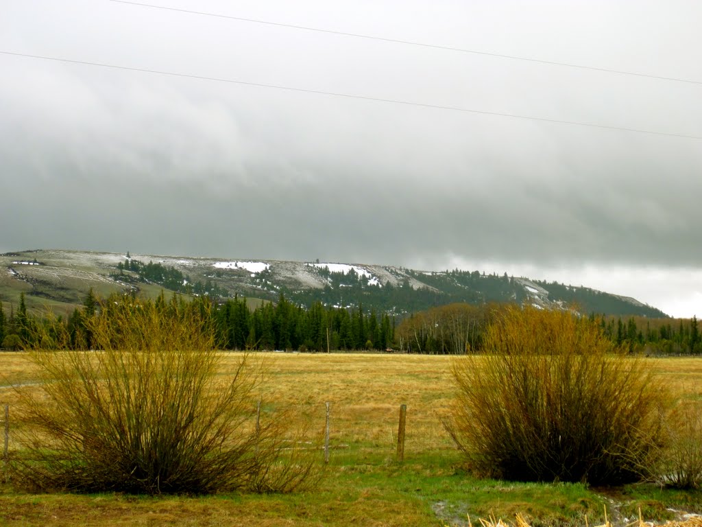 Meadows and hills at Robertson by Layne Parmenter