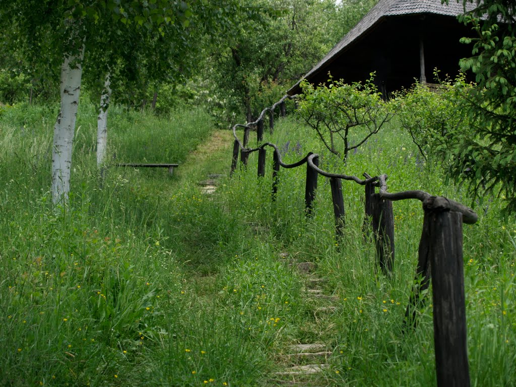 Cărarea spre bisericuța din muzeul satului vâlcean - Bujoreni / Path to the church of the village museum Valcean - Bujoreni by dinuveronica