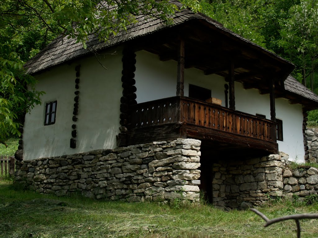 Muzeul satului vâlcean - Bujoreni / Village Museum Oltenia - Bujoreni by dinuveronica