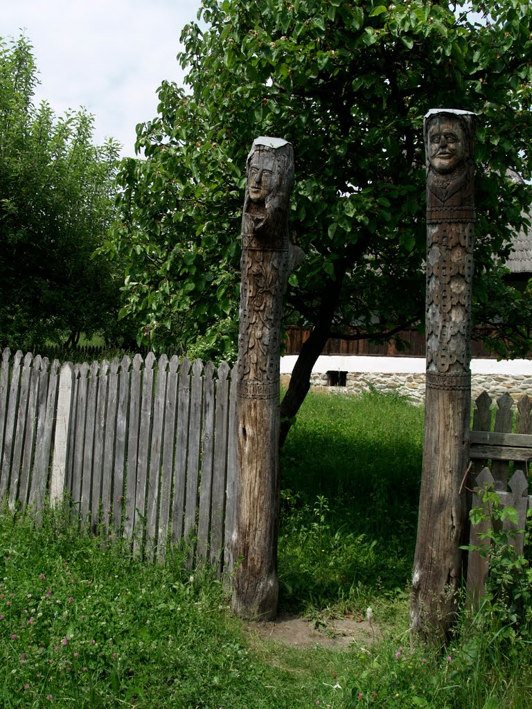 Muzeul satului vâlcean - Bujoreni - poartă / Village Museum Oltenia - Bujoreni - gate by dinuveronica