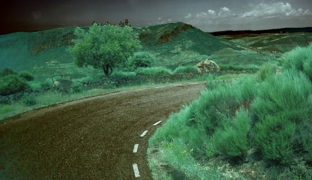 Una curva en la carretera. Saucelle.Salamanca. by kruffy