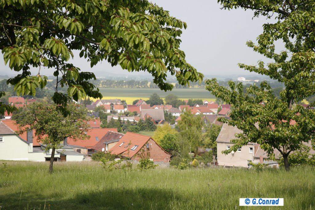 Blick vom Ruhmberg in Badeborn by Gaby Conrad