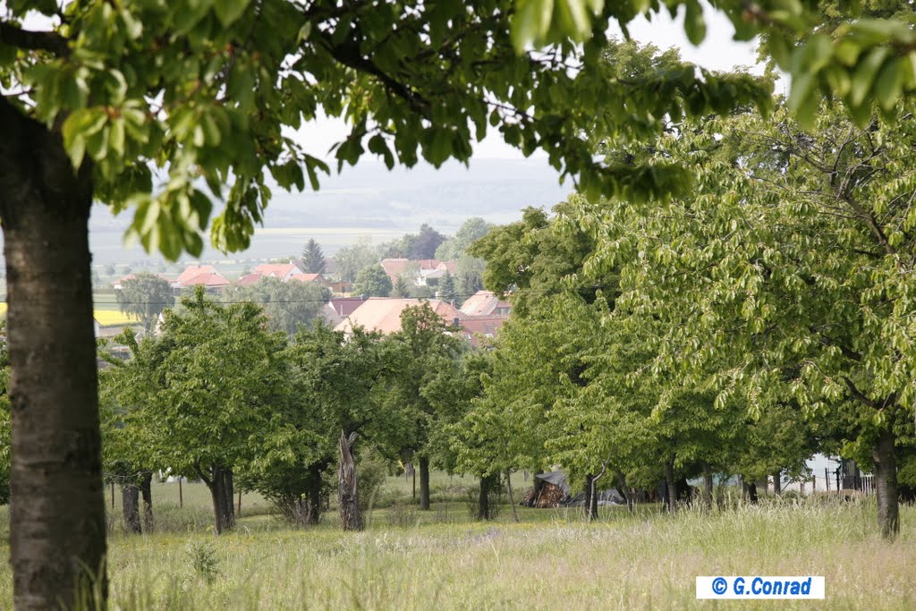 Blick vom Ruhmberg in Badeborn by Gaby Conrad