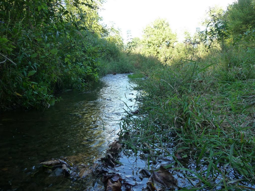 Tuscorar Creek by davewsward