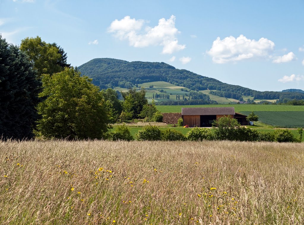 Landschaft bei Wenslingen, BL by Werner Hense