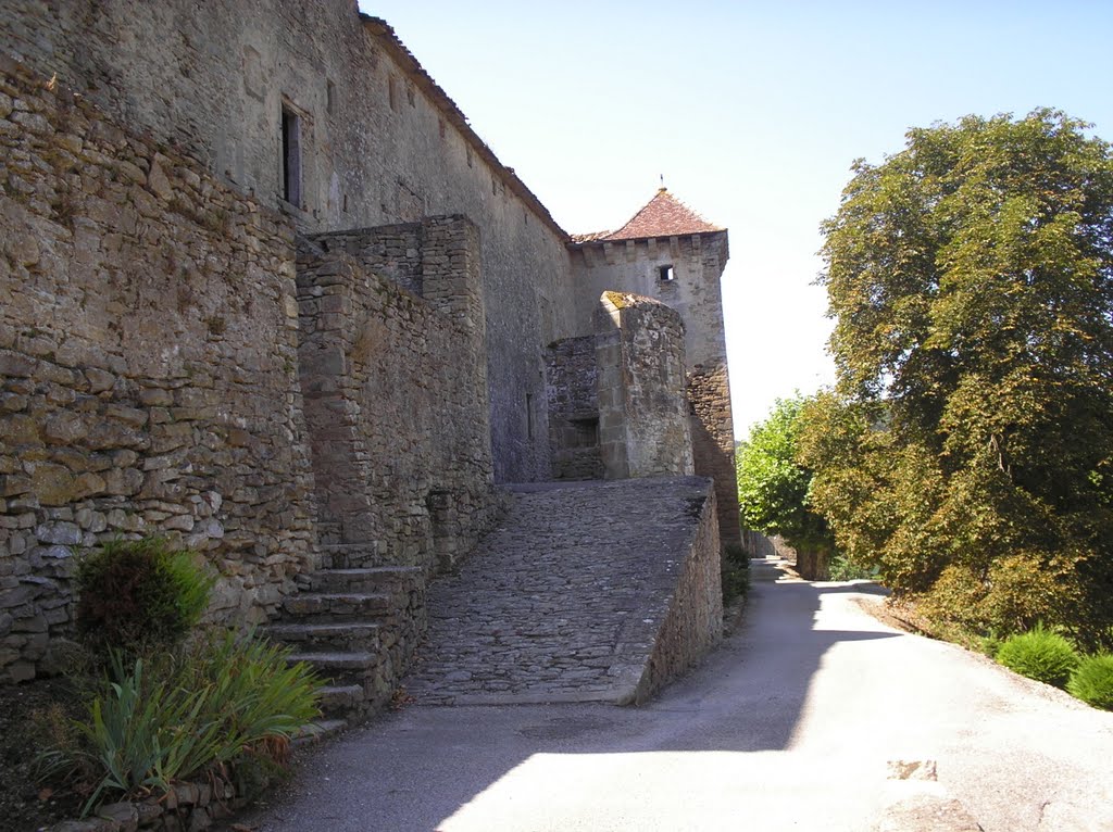 Montségur - Chateau medieval by Marinella Rusmini