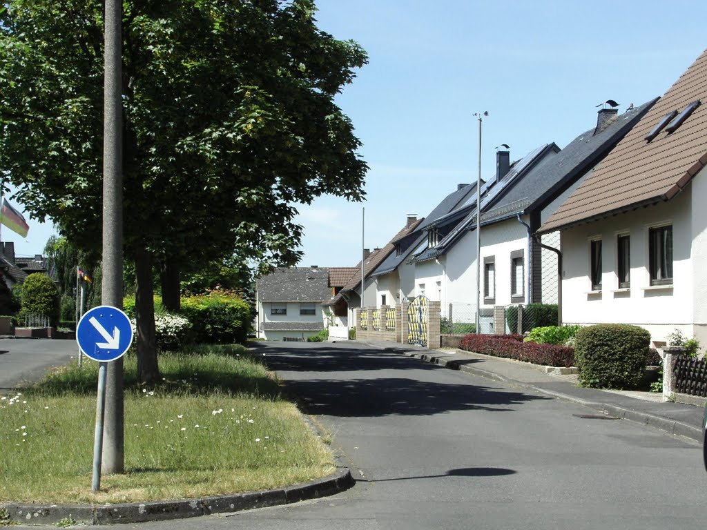 Kantstraße im Sommer by hermeu