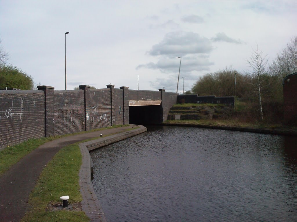 Brierley Hill Road Bridge Stourbridge Canal by quercusia