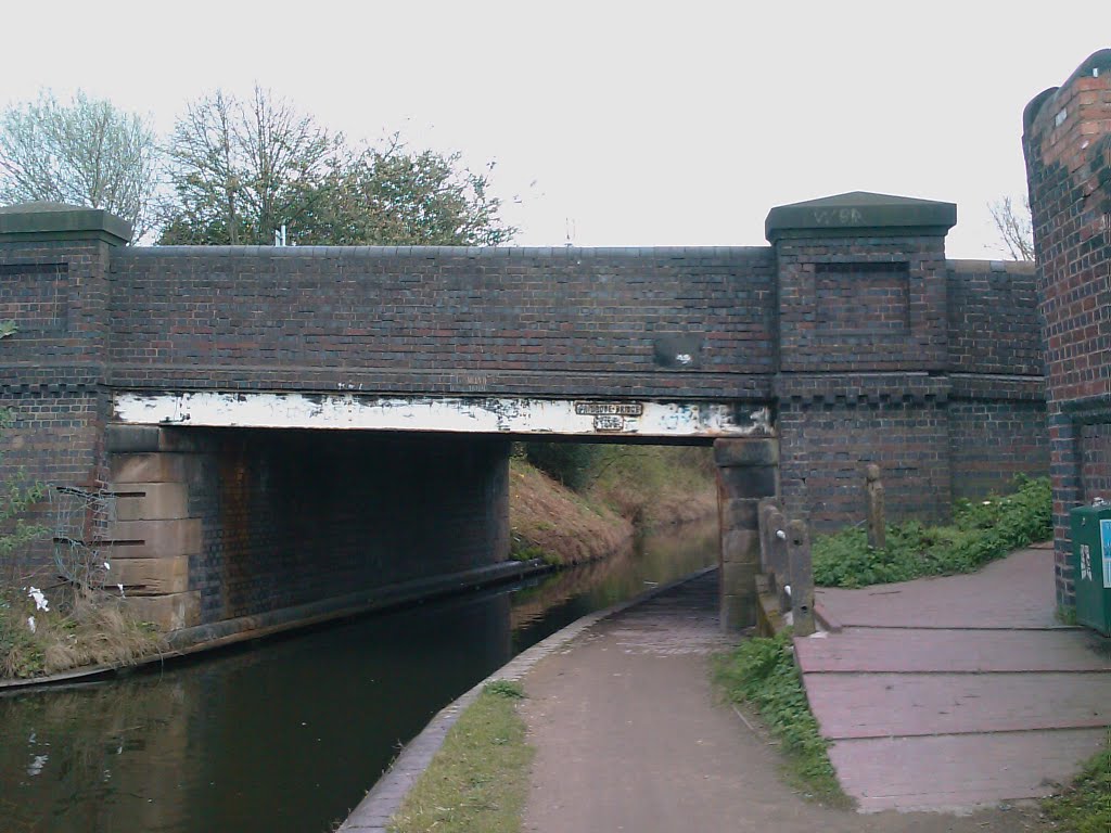 Dudley No1 Canal by quercusia