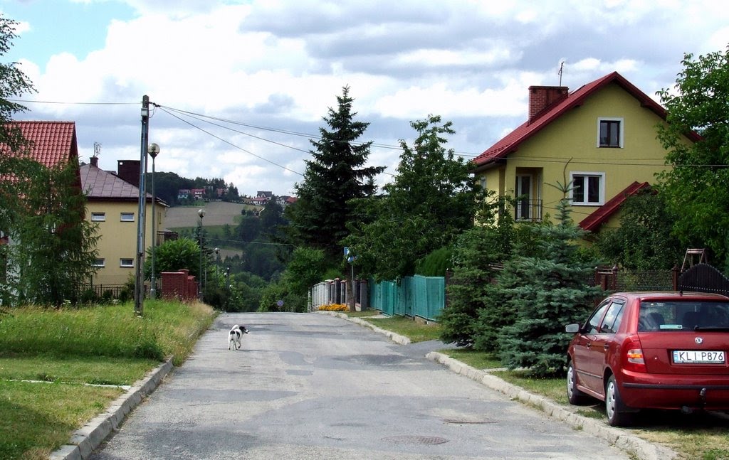 Na tej ulicy mieszkam, Limanowa, 31.07.2007 r. by Roman Szuszkiewicz